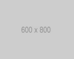 600x800